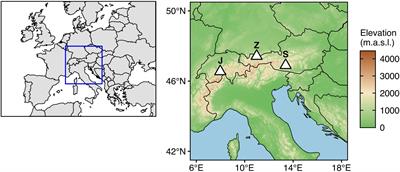 Spatial and Annual Variation in Microbial Abundance, Community Composition, and Diversity Associated With Alpine Surface Snow